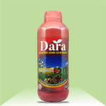 Dara - Booster Umbi dan Buah
