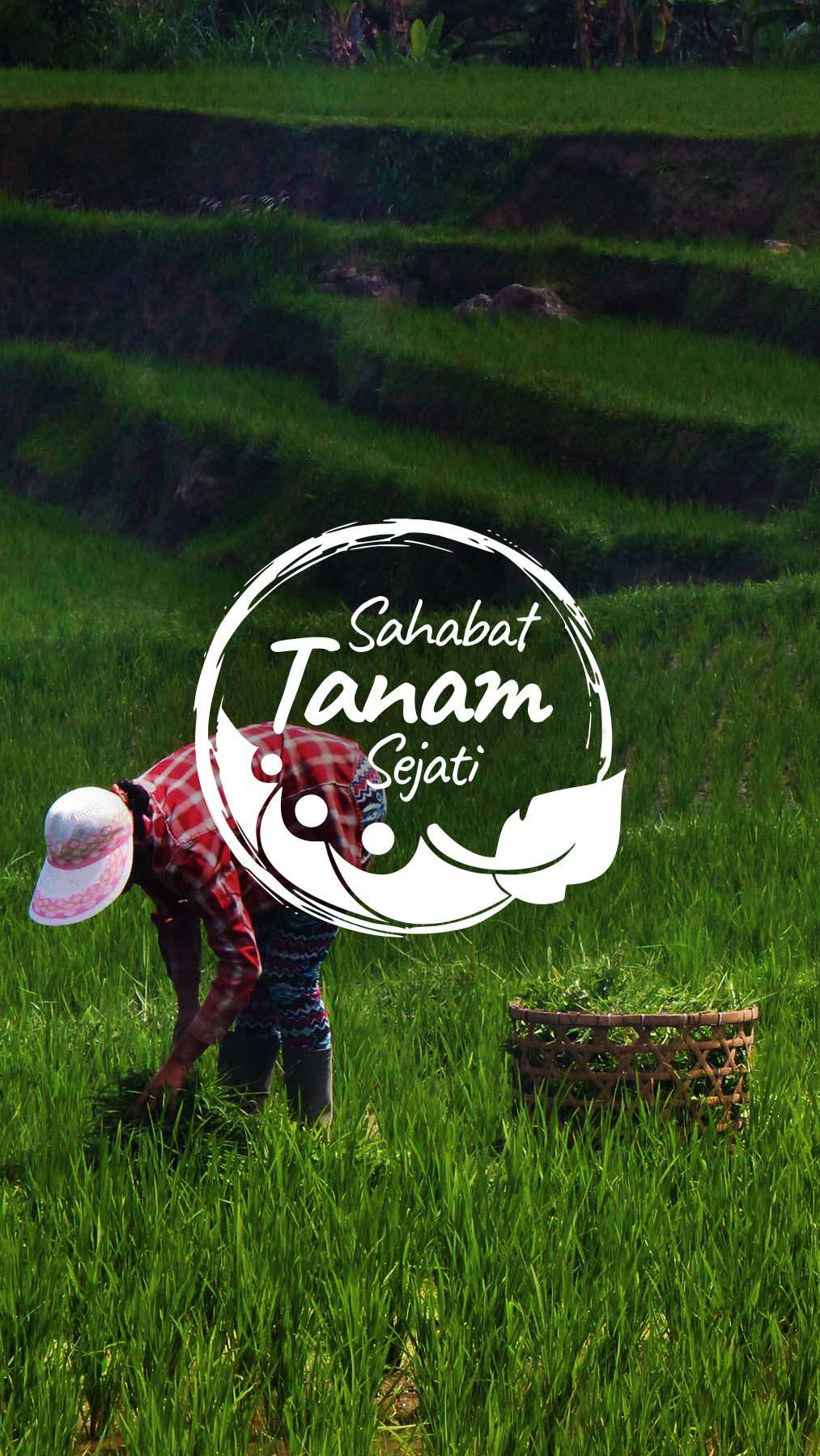 STS Logo on a Rice Field Background